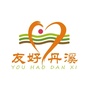 友好丹溪ico