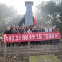 大祥卫计党支部公众号ico