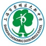 上海市崇明区大新中学ico