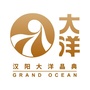 大洋百货龙阳店ico