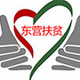 东营扶贫ico