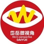 岱岳微视角ico