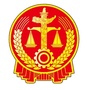 德阳中院ico