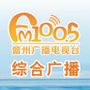 儋州广播1005ico