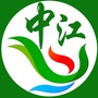 大中江公众号ico