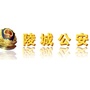德州陵城公安ico