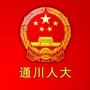 通川人大ico