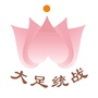 大足统战ico