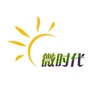 电子信息微时代ico