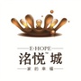 电建洺悦城ico