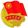 天津科技大学团委ico