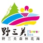 野三关森林花海ico