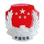 防城港司法ico