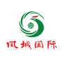 凤城国际民生广场公众号ico