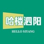哈楼泗阳ico