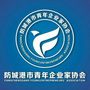 防城港市青年企业家协会ico