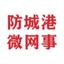 防城港微网事ico