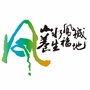 凤城旅游ico