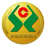 阜城农商银行ico