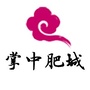 掌中肥城公众号ico