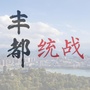 丰都统战ico