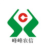 峰峰农信公众号ico