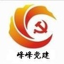 峰峰党建ico