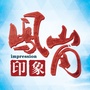 凤岗印象ico