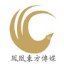 凤凰东方传媒公众号ico