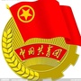 共青团奉节县委ico