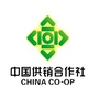 丰泽供销公众号ico