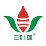 三叶莲公众号ico