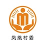 永安凤凰阳光村务ico