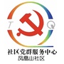 凤凰山社区党群服务平台ico