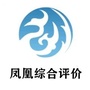 凤凰综评ico