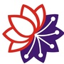 枫泾工业园区ico