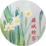 芗城检察ico