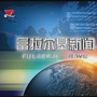 富拉尔基视频在线ico