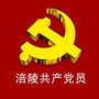 涪陵共产党员ico