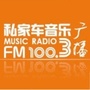 1003私家车音乐广播ico