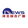 河北综合广播ico