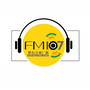 潍坊FM107ico