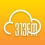 313云巡检ico