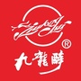 承德九龙集团ico