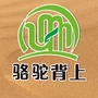 骆驼背上ico