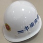 丰南安监在线ico