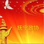 抚宁政协ico