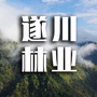 遂川林业ico