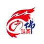 广佛头条ico