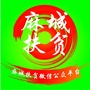 麻城微扶贫ico